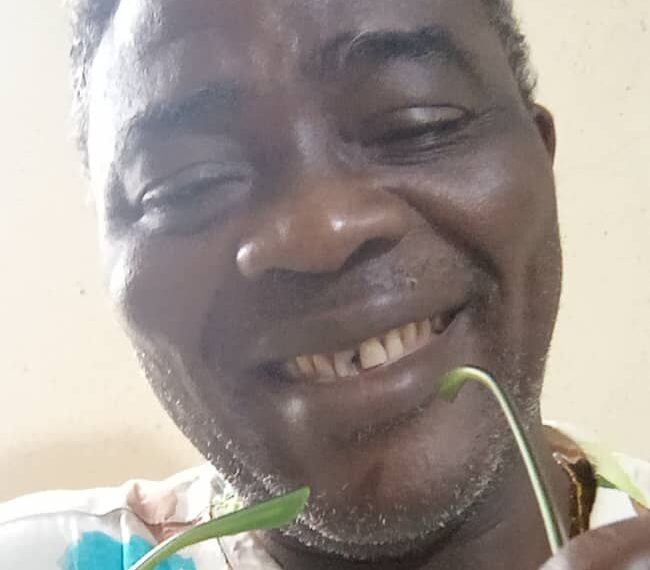 South-East Vision 2050: Why Reorientation of Marginalisation Mindset is the Real Battle