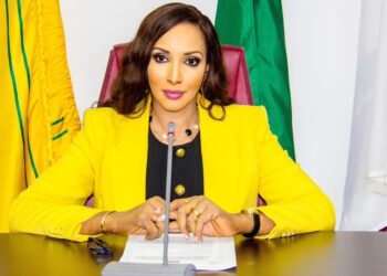 NO NIGERIAN’LL BE LEFT BEHIND IN SOUTH AFRICA-OJUKWU