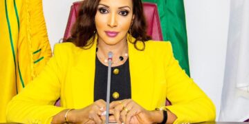 NO NIGERIAN’LL BE LEFT BEHIND IN SOUTH AFRICA-OJUKWU
